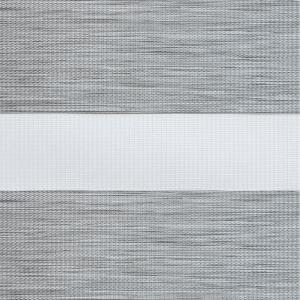 Image Zebra021