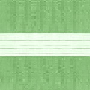 Image Zebra026