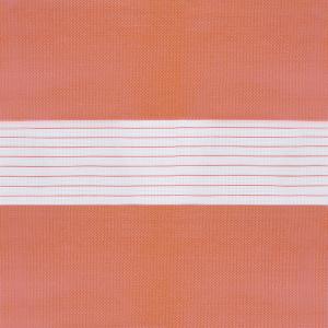 Image Zebra029