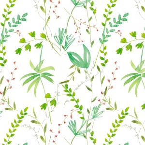 Image Rulon013